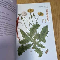 Herbal Handbook by New York Botanical Garden (Illustrated)