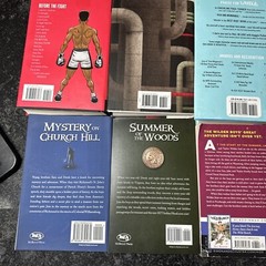 Lot of 12 Chapter Books BOYS Youth Early Reader Young Adults Children Adventure