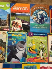 Lot of 21 Level 3 & 4 Early Reader Chapter Books Scholastic I Can Read Mixed Set