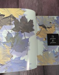 Muskoka Originals – Ontario Art – Artistry & Inspiration on Autumn Studio Tour