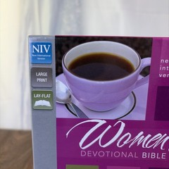 NIV Women’s Devotional Bible Large Print Leathersoft Teal by Zondervan