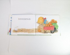 Duck To The Rescue John Himmelman Hardcover Book With Dust Jacket Kids Book
