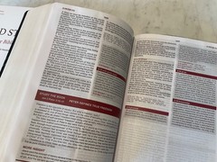 KJV Word Study Reference Bible 2023 Black Leather-Soft SEALED