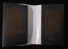 Karl Edward Wagner: Bloodstone- *Dust Jacket Only*