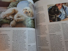 A Dog’s Life-Special Edition Magazine by Paw Print-How They Think, Feel & Thrive