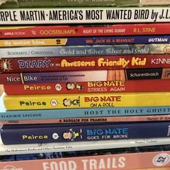 25 Unsorted Fiction Non Fiction Paperback / Hardback UNSORTED Mixed Book Lot