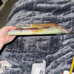 Ruth and the Green Book by Calvin Alexander Ramsey and Gwen Strauss (2010)