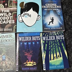 Lot of 12 Chapter Books BOYS Youth Early Reader Young Adults Children Adventure