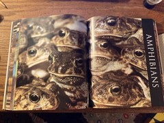 Smithsonian Institution Animal : The Definitive Visual Guide to the World’s…