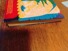 Vanguard Galaxy Scott Foresman Vintage Literature Textbook Art HC Remember?