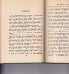 We Spend Our Years (HB, 1945, 154 pages) by Charlotte Kruger