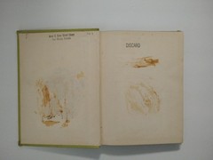 Adventure in Forgotten Valley Glyn Frewer 1964 A Guild Book G P Putnam’s Sons HB