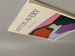 Vtg MILTON AVERY By Barbara Haskell Paperback Whitney Museum American Art 1st Ed