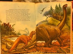 Dinosaur Library Series Lot of 25Vintage 1980s Hardcover Books Rourke VGC READ