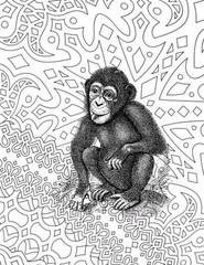 Save the primates Coloring book for Adults Teens 108 Pages 8.5 x 11 for All Ages