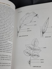 Botany for Gardeners Fourth Edition Brian Capon 2022 Timber Press Paperback