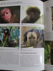 Essential Guide Peruvian Amazan Peru Paperback Book 2011 31 Pages 6.5 X 9 inc