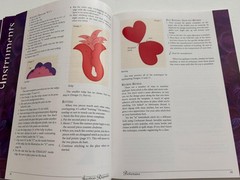 Jacobean Rhapsodies 28 applique designs quilting 160 pages Patricia Campbell