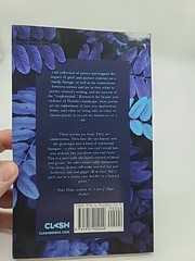 Erin Slaughter The Sorrow Festival (Paperback) Brand New
