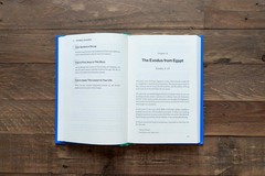 The Bible Made Easy: Understand and Live the Message of Scripture