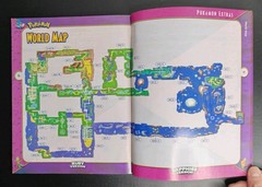 Pokemon Ruby and Sapphire Official Trainer’s Strategy Guide Brady Games GBA