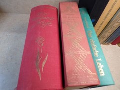 Lot of 17 Vintage German Books Bulk Lot Hardcovers Multicolored