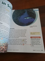 3rd Gr. i-Ready Magnetic Reading , Student Workbook, Grade 3