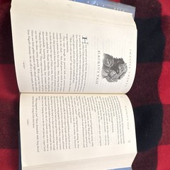 Harry Potter Ser.: Harry Potter and the Order of the Phoenix by J. K. Rowling