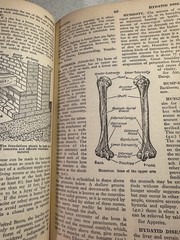 Vintage Nursing Book Modern Physician Health Book Medical Lot of 3 Hardcover