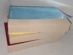 The Hunger Games Box Set: Foil Edition, Paperback by Suzanne Collins.