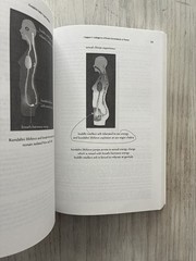 Kundalini Hatha Yoga Pradipika by Michael Beloved Body Posture Sanskrit Text SC