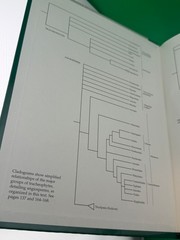 Plant Systematics A Phylogenetic Approach Hardcover Judd Campbell Kellogg CD-ROM