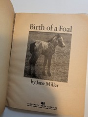 Scholastic Birth of a Foal Jane Miller PB 1977 Vintage Ages 4-8 Horses