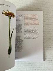Herbal Handbook New York Botanical Garden 2022 1st Edition Clarkson Potter PB