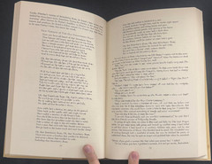Ten Thousand Goddam Cattle by Katie Lee 1980