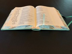 Inspire Bible NLT: New Living Translation- Aquamarine- Leatherlike- Filament-HC
