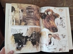 The Farm Book by Rien Poortvliet 1980 – 216 Color Illustrations –HC w/DJ VG Cond