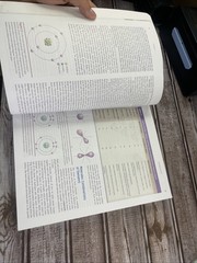 ISE Stern’s Introductory Plant Biology ISE HED BOTANY, ZOOLOGY, ECOLOGY 15e