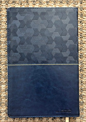 Zondervan NIV Thinline Bible: Comfort Print, blue Leathersoft, gilt page edging