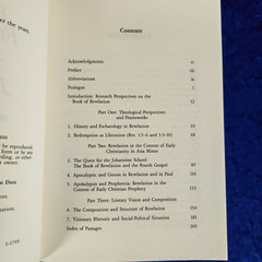 The Book of Revelation: Justice and Judgment by Elisabeth Schussler Fiorenza