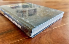 Borderlands 2 Game of the Year Edition Strategy Guide | NEW SEALED