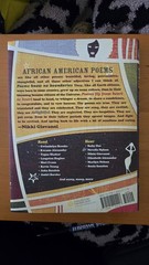 The 100 Best African American Poems by Nikki Giovanni (2010, Hardcover)