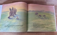 Rabbit’s Good News – Hardcover By Bornstein, Ruth Lercher – Good Illustrated