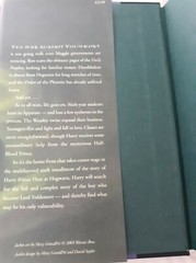 HARRY POTTER Lot of 2 Hardcovers 1st Edition 1st Print GIFT QUALITY