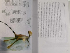 Dougal Dixon The New Dinosaurs Japanese Edition Alternative Evolution Art Book