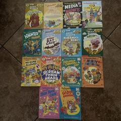 Lot of 14 The Berenstain Bears BIG Chapter Books By Stan & Jan Berenstain