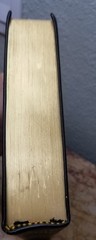 RARE 1999 USA NASB Bible Wide Margin Unknown Leather Opaque Paper USED L@@K🌟
