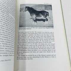 Gentle Giants Story of Draft Horses Stanley M. Jepsen 1973 HC 2nd Print Photos