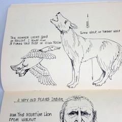 Cecil’s Woodcarving Patterns Book Animals Native Indian Golf Wood Turning Crafts