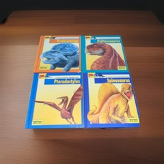 25 Looking At Dinosaurs Weekly Reader Books HC Like New Condition